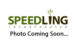 Speediling Speedling Incorporated placeholder - Speedling Incorporated